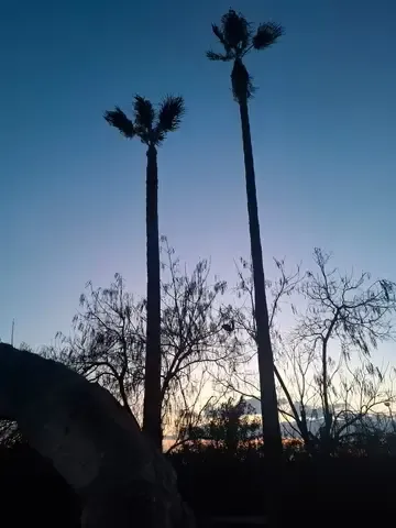 Diseño de jardín moderno