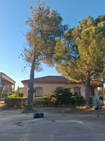 Jardín con piedras decorativas